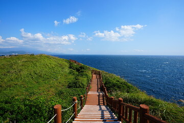 fine view with seaside walkway