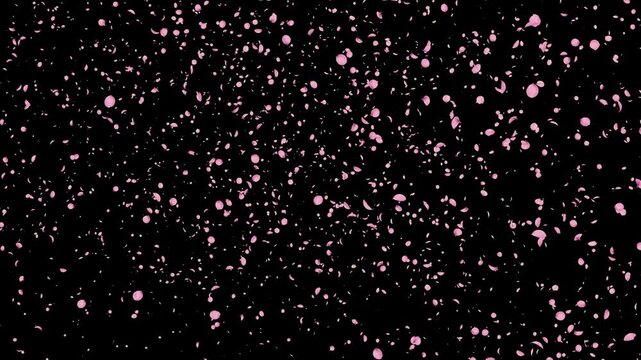 A lot of cherry blossoms falling(The second half is QT with alpha)
