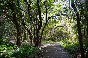refreshing walkway in the sunlight