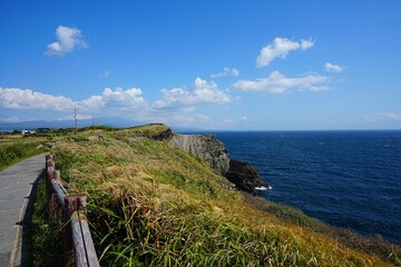 fine view with seaside walkway