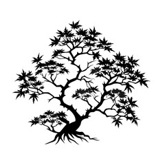 japanese-maple-tree-silhouette