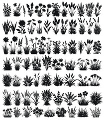 Wild Flower Grass Design Vector Set