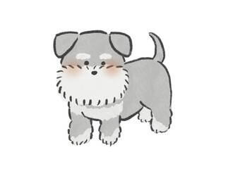 正面を向いて立っているシュナウザーのイラスト