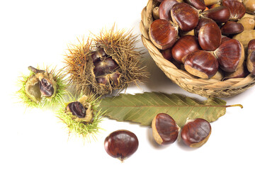 Basket of Chestnuts with Autumn Leaves