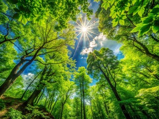 Obraz premium Vibrant Lobed Leaves on Trees in a Lush Green Forest Under Bright Sunlight and Blue Sky