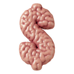 Dollar sign made from brain
