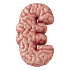Euro sign made from brain