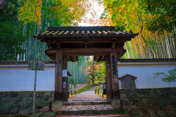 京都　竹の寺地蔵院の山門と竹林　紅葉