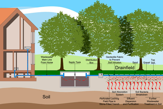 SEPTIC SYSTEM CONCEPT ILLUSTRATION - Septic drain fields, also called leach fields or leach drains are subsurface wastewater disposal facilities