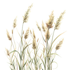 Grass Clipart Vector Illustration