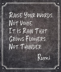 Fototapeta premium not thunder Rumi quote