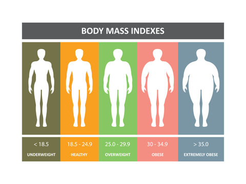 body mass index men vector design