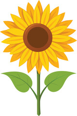 Bright Sunflower Vector Illustration design on white background