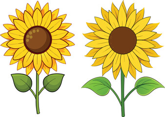 Bright Sunflower Vector Illustration design