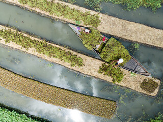 Floating farming process in Bangladesh to fight the impact of climate change