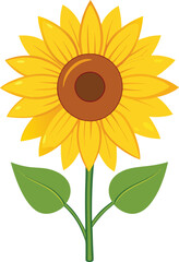 Bright Sunflower Vector Illustration design