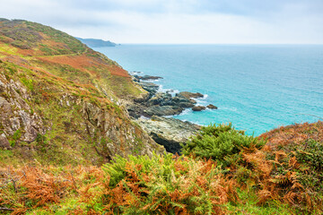 Sea Coast of South Devon. England