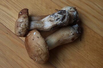 Three Porcino mushrooms on wooden table. Boletus edulis