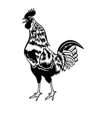 Rooster | Standing Rooster | Farm Life | Poultry & Livestock | Farm Lover | Barn | Domestic Animal | Original Illustration | Vector and Clipart | Cutfile and Stencil