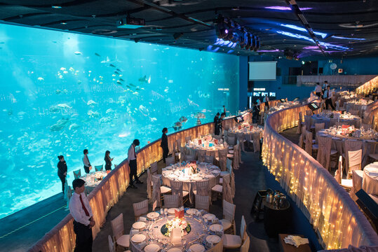 luxury color theme wedding solemnisation dinner flower florist , dinnerware banquet, cloth and stage lighting decoration design in premium hotel ballroom and beautiful beach event