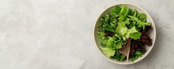 A bowl of fresh mixed greens sits elegantly under soft natural lighting, providing a vibrant and healthy appeal.