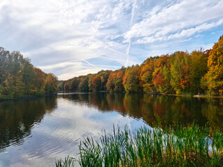 Water surface of the lake, surrounded by trees with fall foliage