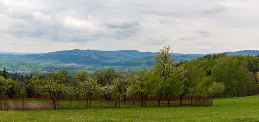 Obraz premium Moravskoslezske Beskydy from meadow near Zvonicka sv. Isidora in Slezske Beskydy mountains above Hradek village in Czech republic