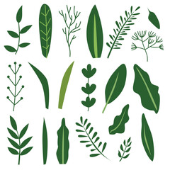 leaf element set vector illustration