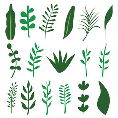leaf element set vector illustration