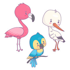 Cute birds collection. Pink flamingo, white stork and blue parrot. Isolated cartoon kawaii characters. Vector illustration 