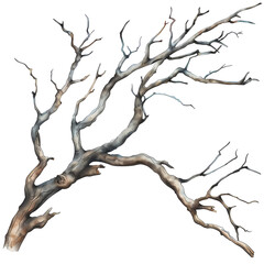 Obraz premium Tree Branches Clipart Vector Illustration