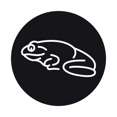 Tailless frog black line illustration. Animals of Australia.