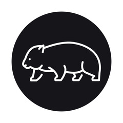 Australian wombat black line illustration. Animals of Australia.