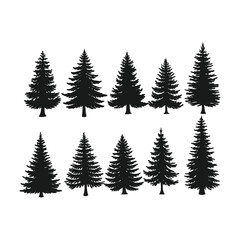 Pine Tree Vector silhouette  illustration