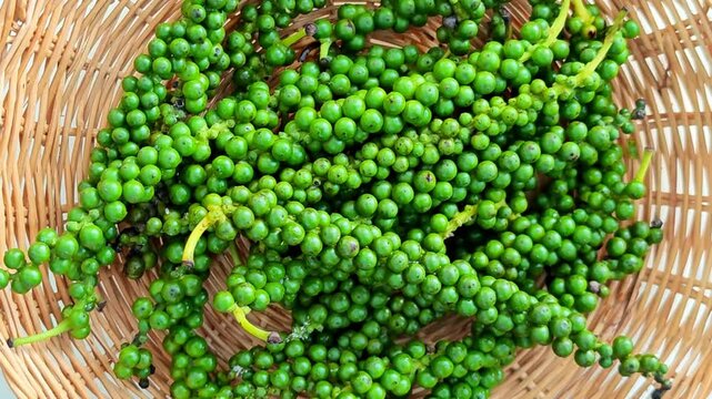 Peppercorn berries rotation on basket