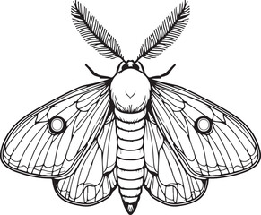 Wax Moth Bug simple outline vector illustration line art