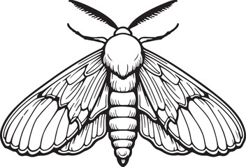 Wax Moth Bug simple outline vector illustration line art