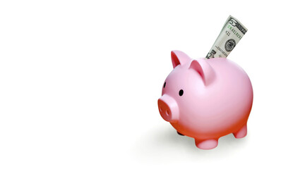 Pink Piggy Bank With a Dollar Bill Inserted. Space for copying.