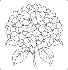 Hydrangea Bouquet Flower Coloring Pages for Creative Relaxation