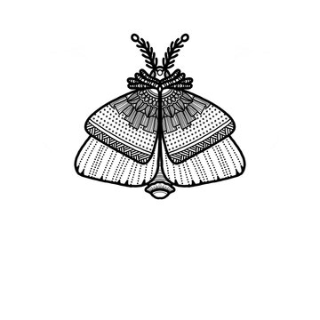 Whimsical black and white line art or doodles of butterfly with intricate zentangles and zendoodles patterns