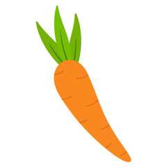 carrot vegetable illustration