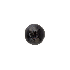 Blueberry, cutout, full depth of field.