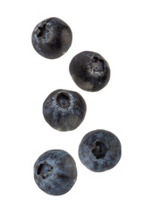 Falling Blueberry, cutout, full depth of field.