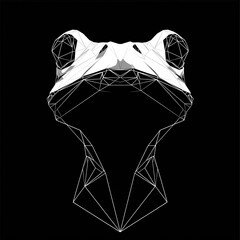 striking black and white geometric portrait focusing on a frog's unique facial structure