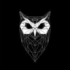 stark black and white geometric illustration of an owl's face with contrasting line art details