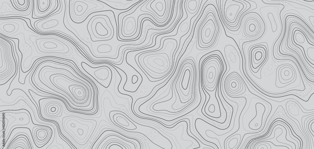 Poster topographic contour map on white background. vector grid map.