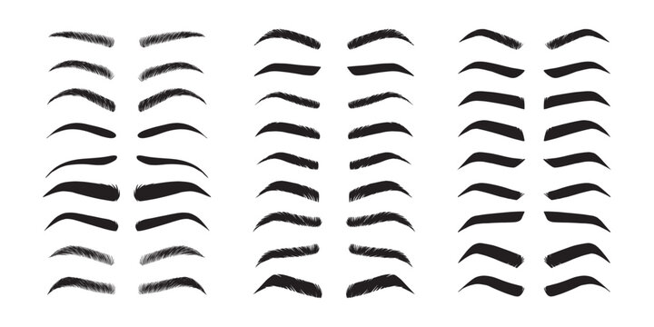 Isolated Eyebrows set Cartoon. Eyebrow makeup template. Classic brow makeup shaping vector set. Various eyebrows types. shapes, thin, thick, curved eyebrows set. 