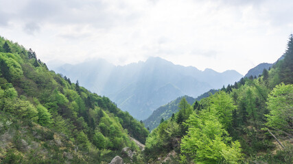 Fototapeta premium Serene mountain landscape with layers of misty hills in the background and lush green trees in the foreground, capturing the peaceful beauty of nature.