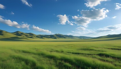 Fototapeta premium Vast Grasslands with Rolling Hills and a Clear Sky at Midday