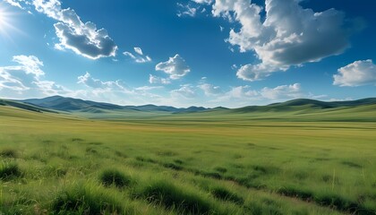 Vast Grasslands with Rolling Hills and a Clear Sky at Midday